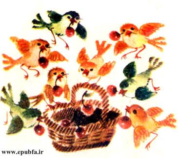 گنجشک ها گیلاسهای لوسی را جمع کردند و در زنبیل ریختند.